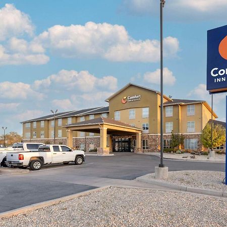 Comfort Inn & Suites ארטסיה מראה חיצוני תמונה