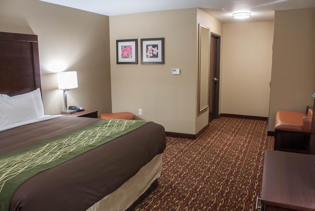 Comfort Inn & Suites ארטסיה חדר תמונה