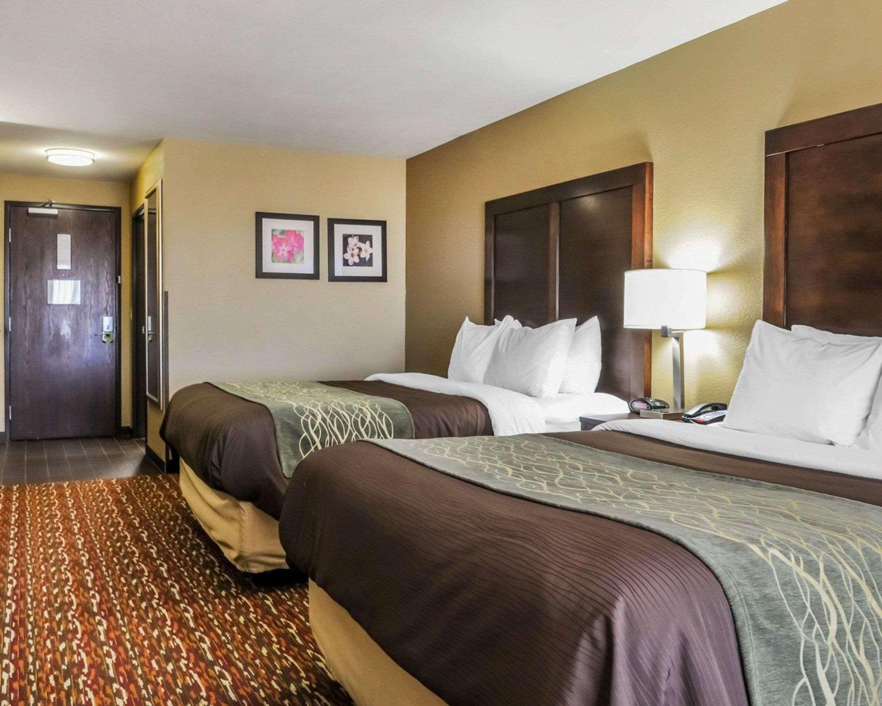 Comfort Inn & Suites ארטסיה מראה חיצוני תמונה