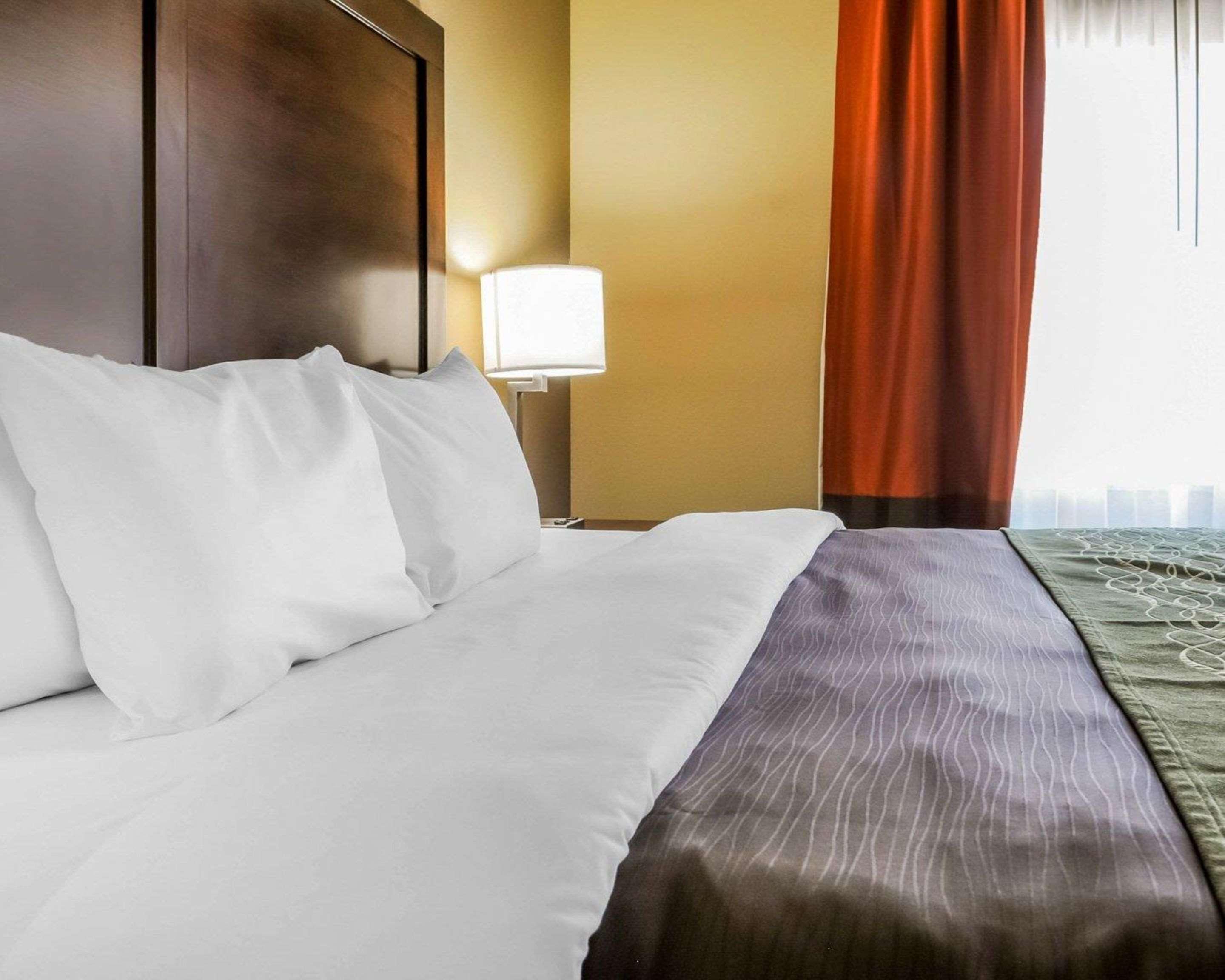 Comfort Inn & Suites ארטסיה מראה חיצוני תמונה