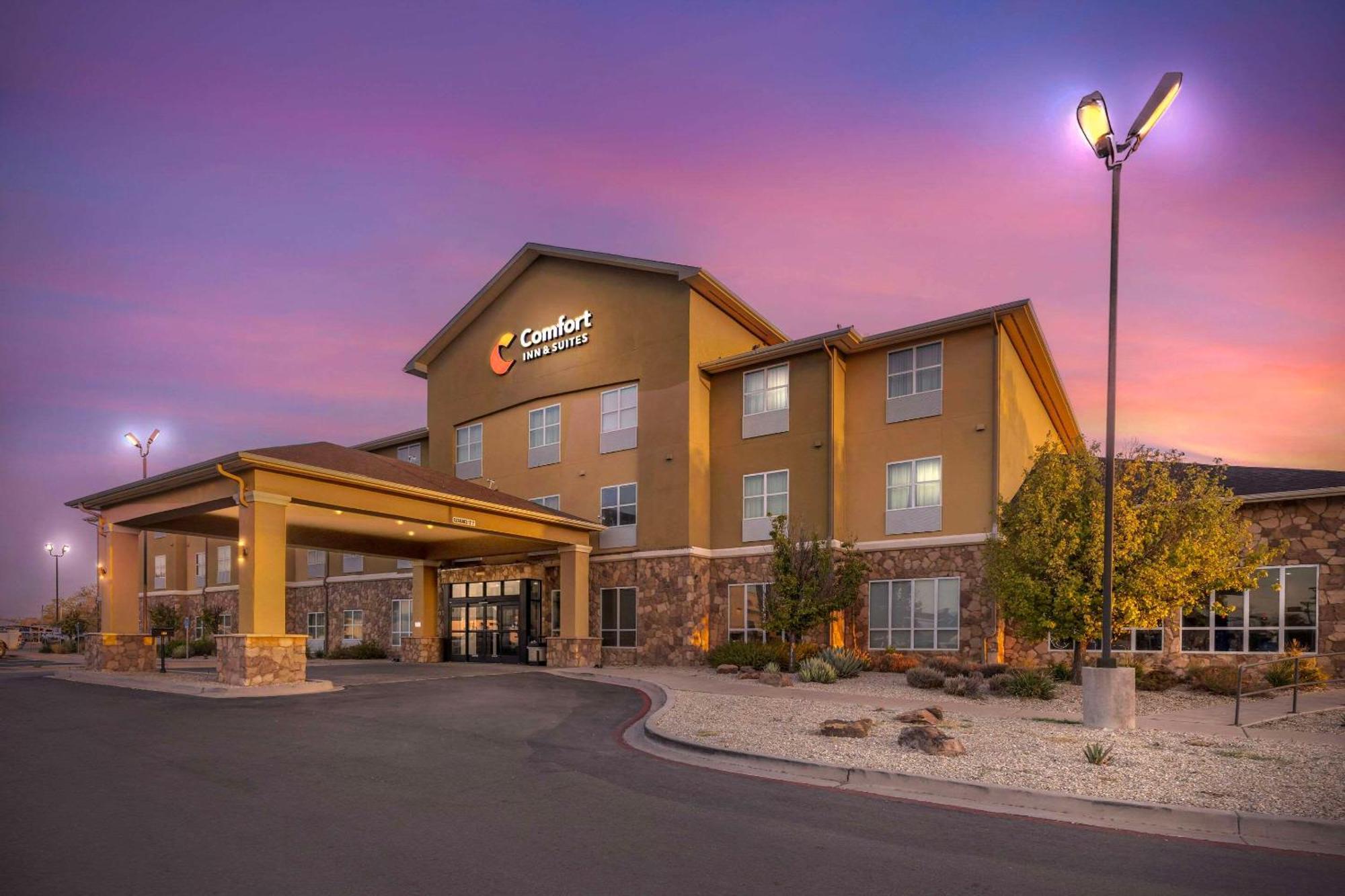 Comfort Inn & Suites ארטסיה מראה חיצוני תמונה