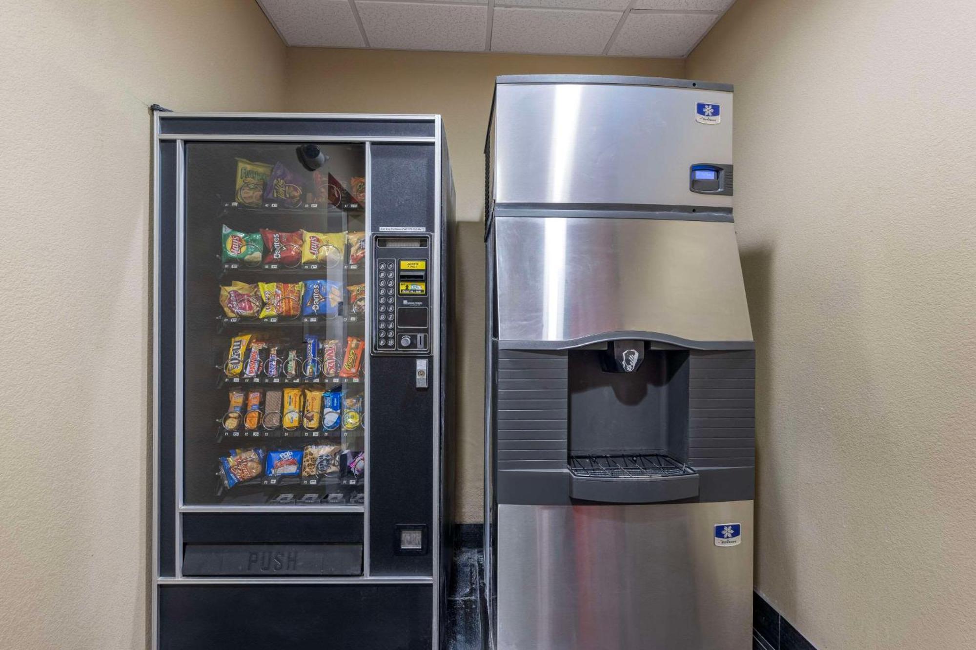 Comfort Inn & Suites ארטסיה מראה חיצוני תמונה
