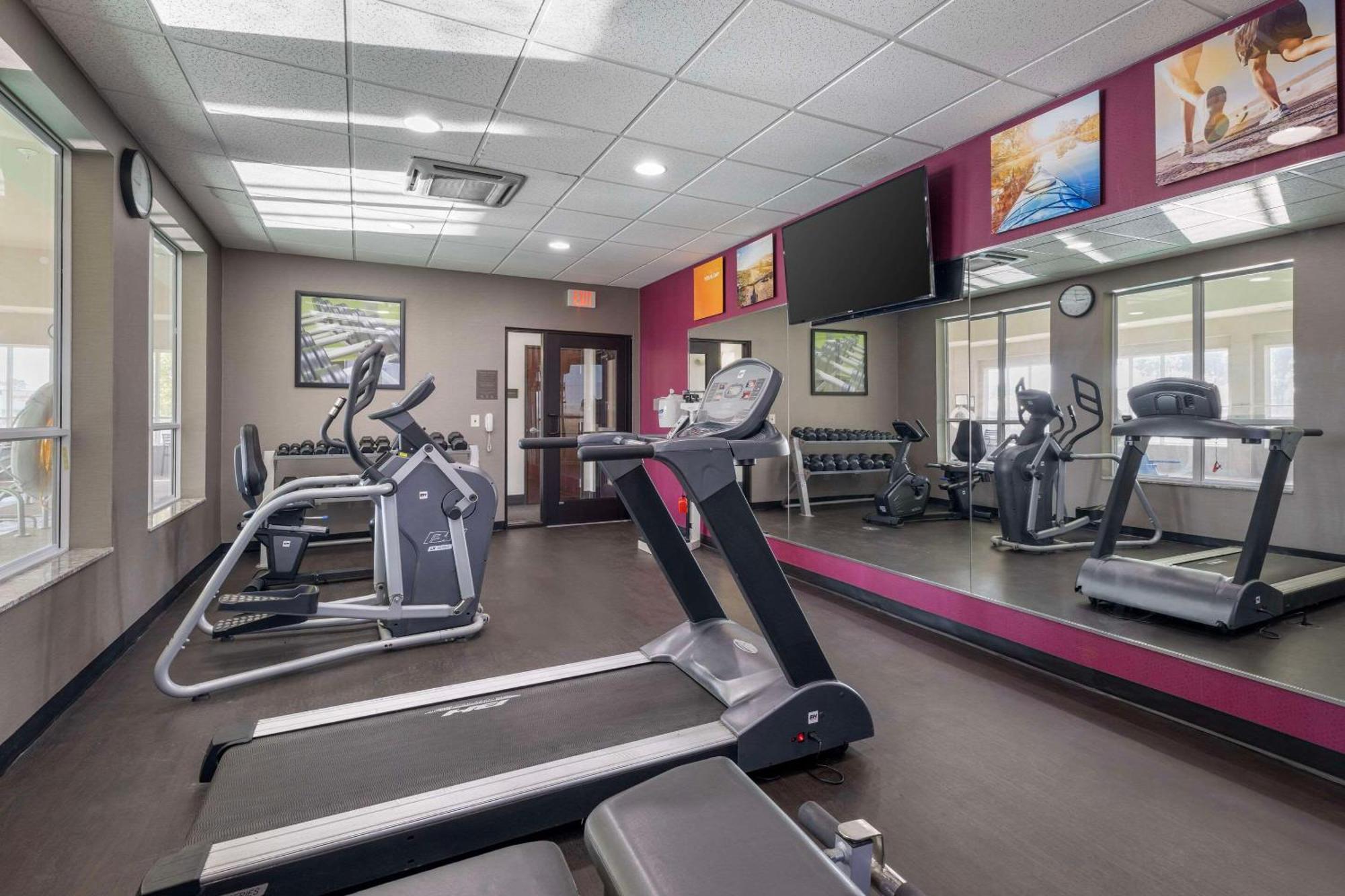 Comfort Inn & Suites ארטסיה מראה חיצוני תמונה