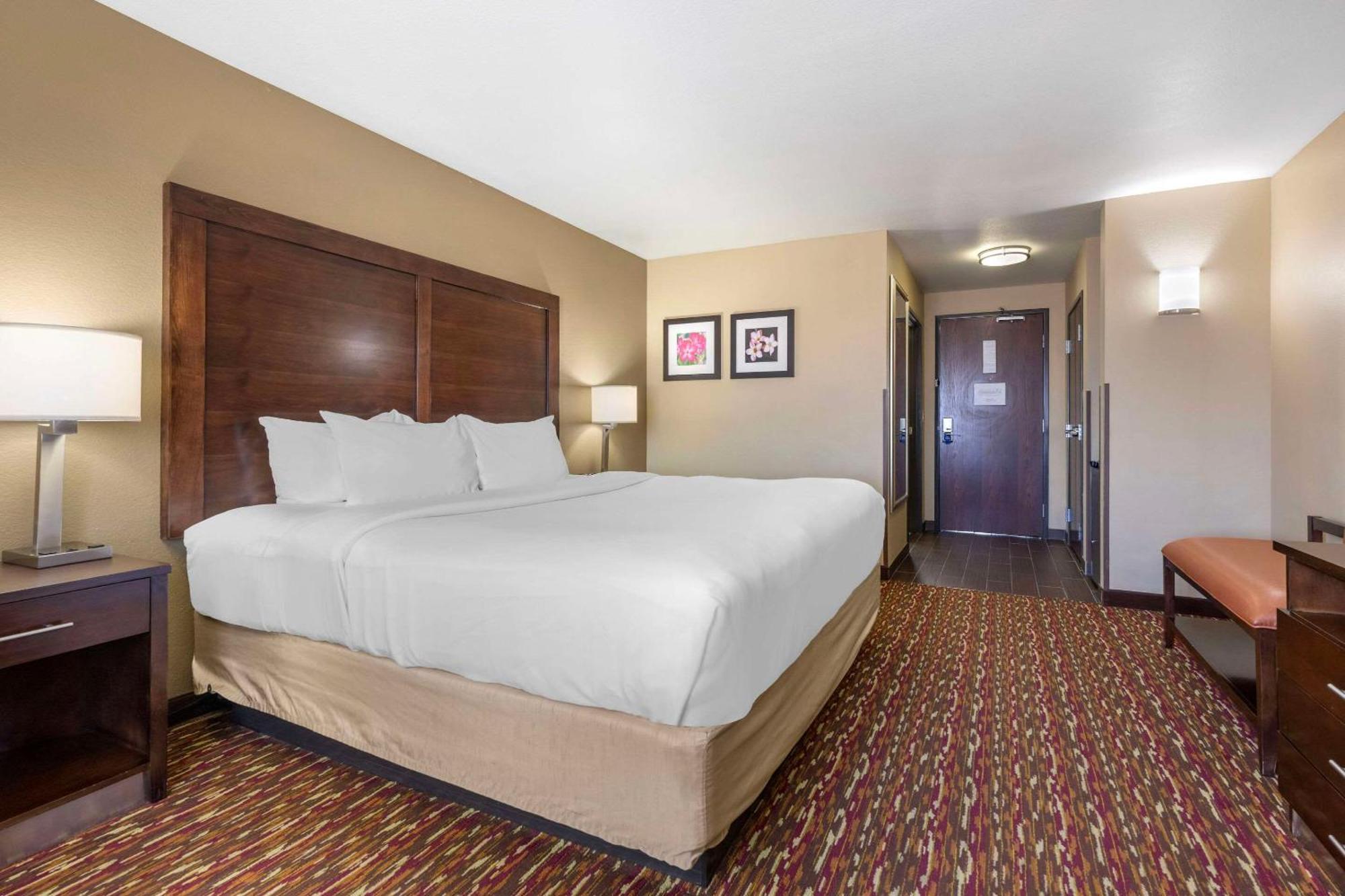 Comfort Inn & Suites ארטסיה מראה חיצוני תמונה