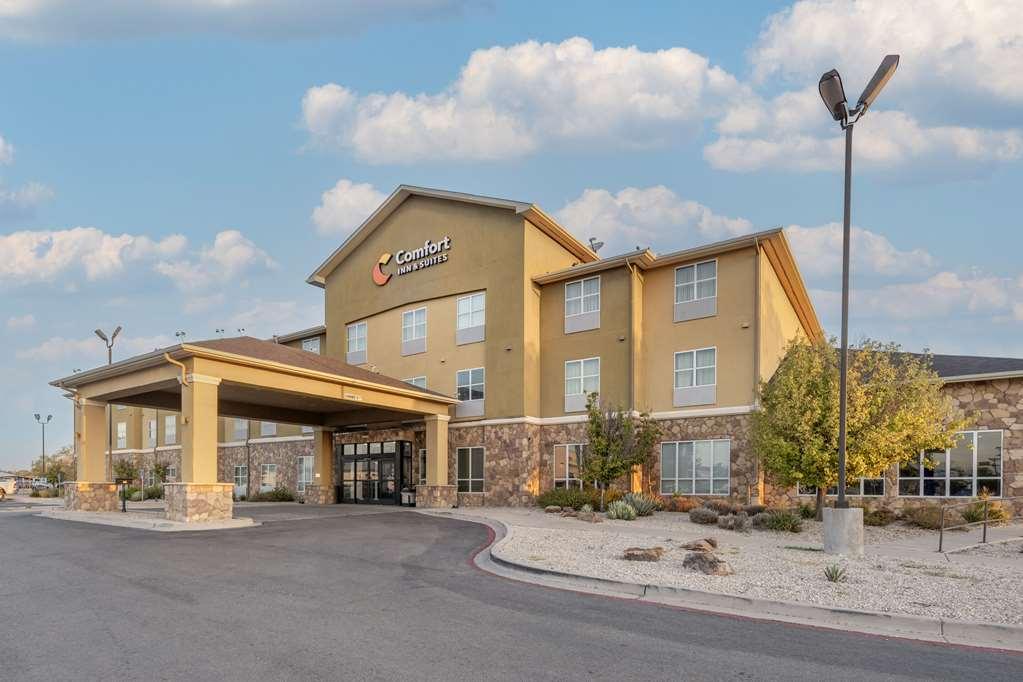 Comfort Inn & Suites ארטסיה מראה חיצוני תמונה