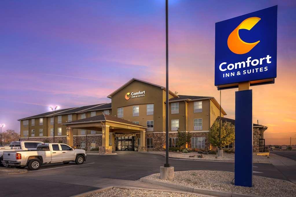 Comfort Inn & Suites ארטסיה מראה חיצוני תמונה